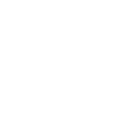Association des Elèves Ingénieurs - ENSIAS